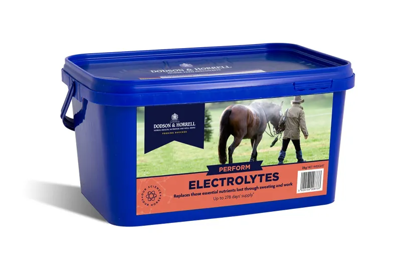 Dodson and Horrell Electrolytes 2kg